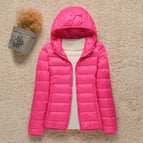 Fuchsia / S